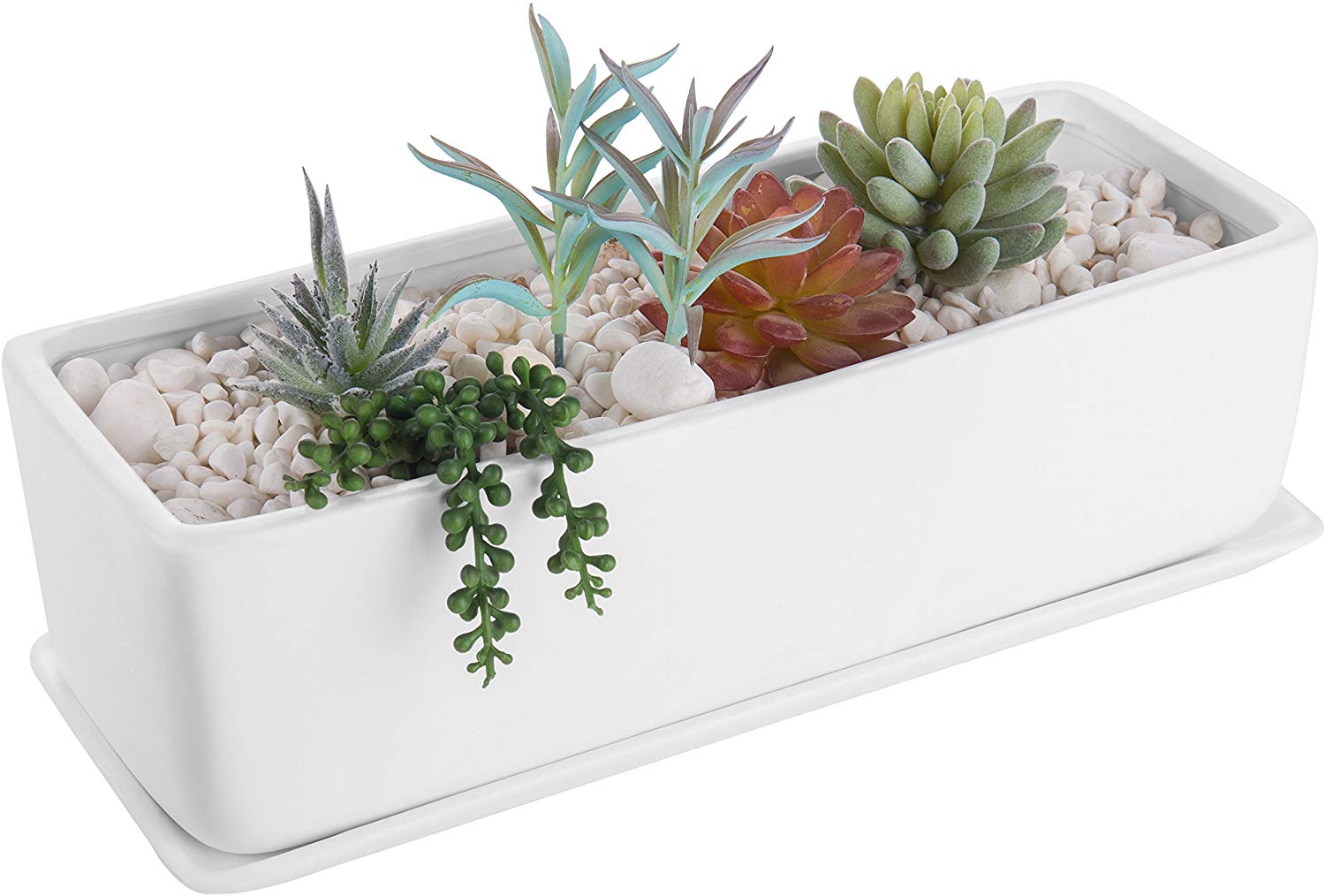 9. Modern Ceramic Succulent Planter Pot