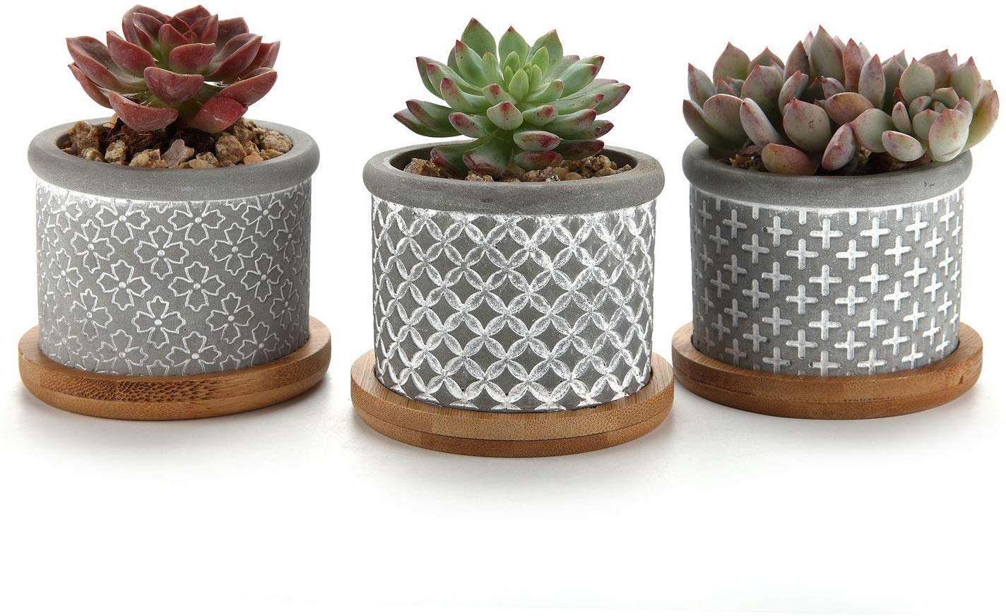 5. Cactus Plant Pot Indoor Succulent Planter