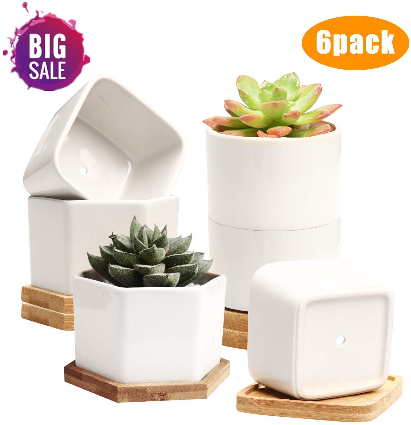 6. Small Succulent White Garden Pots