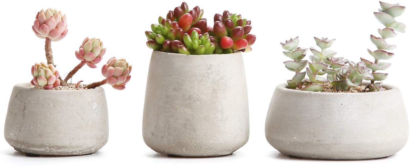 10. T4U Cement Succulent Pot Set