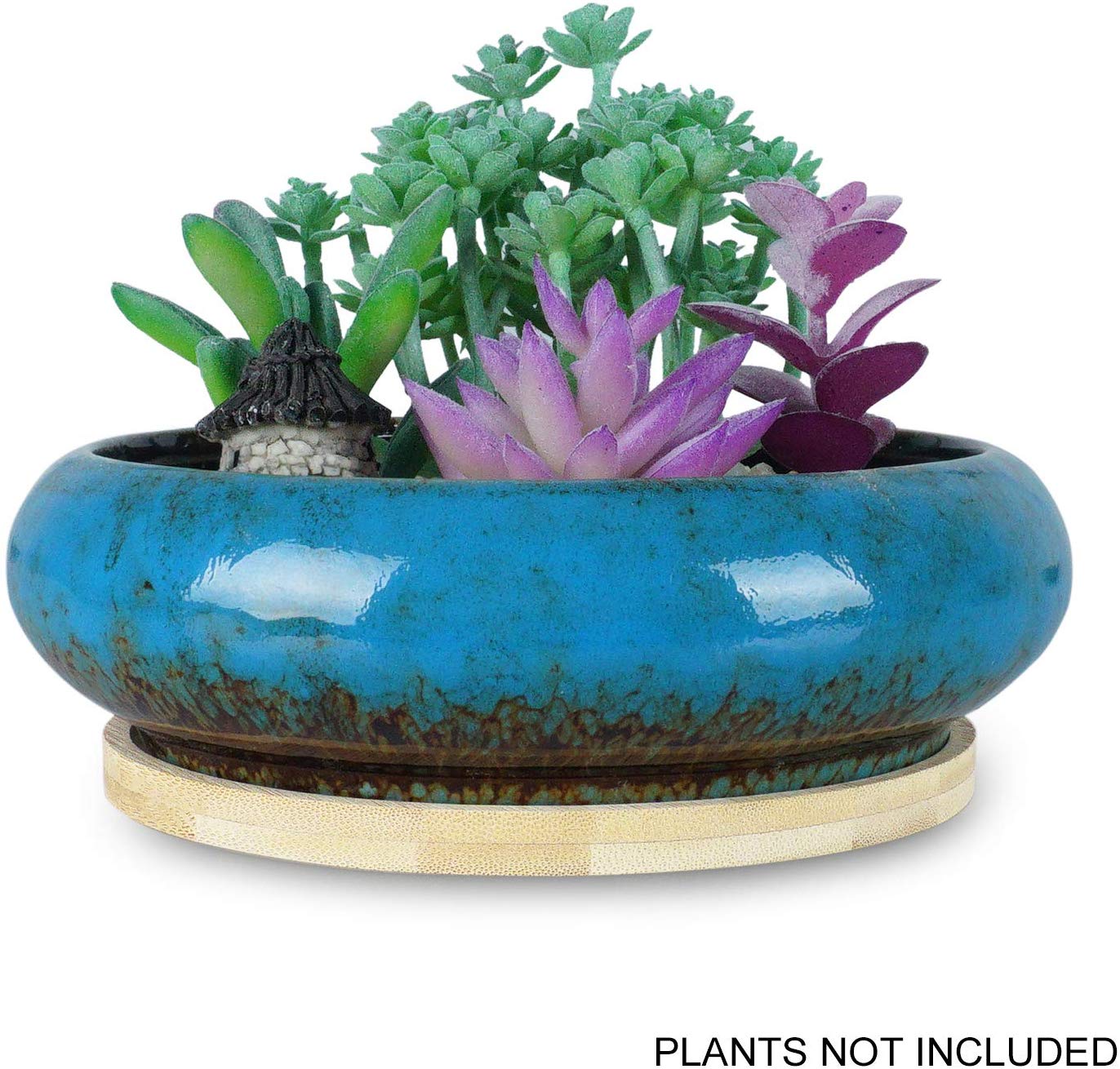 4. Bonsai Pots