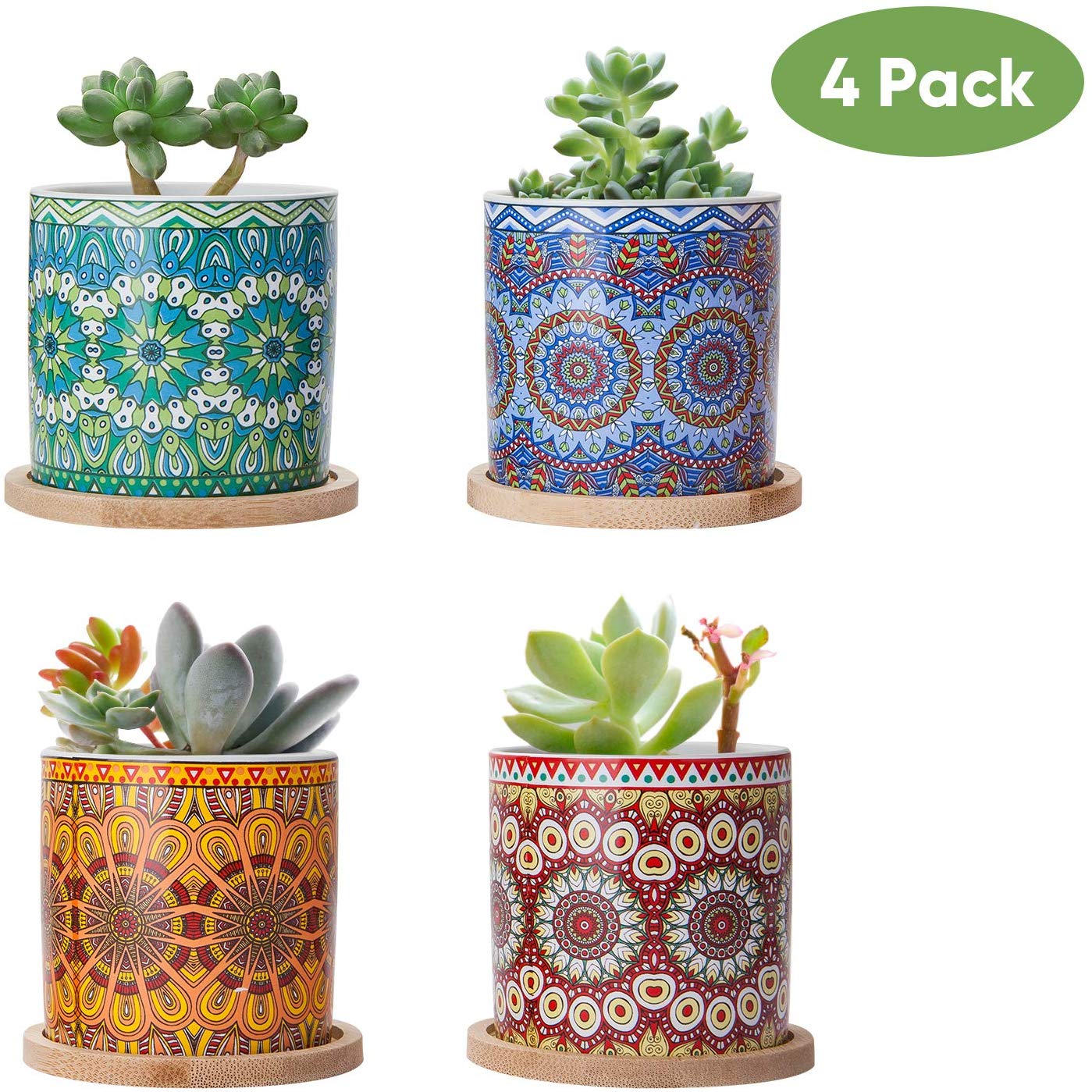 2. Brajttt Succulent Plant Pots