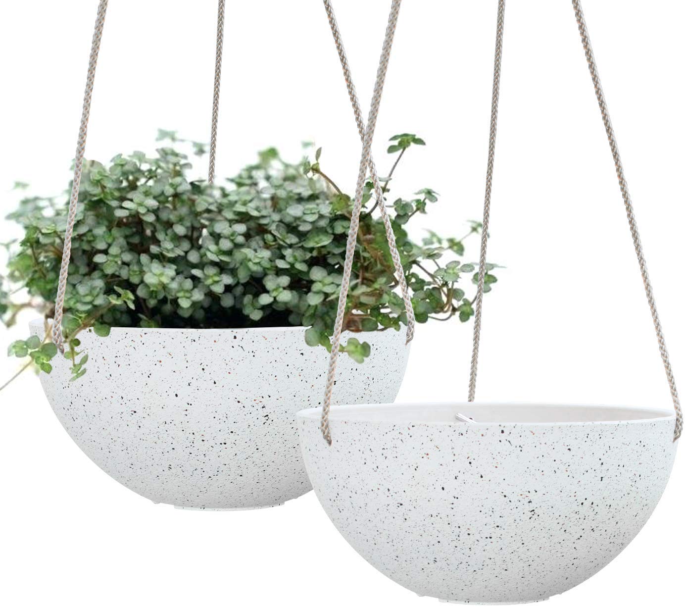 6. Indoor Plants Hanging Planters