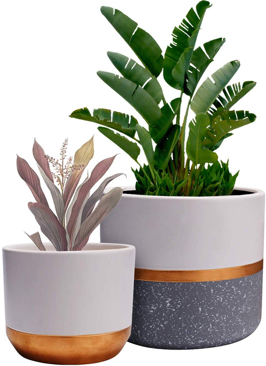 9. Ceramic Indoor Garden Planter