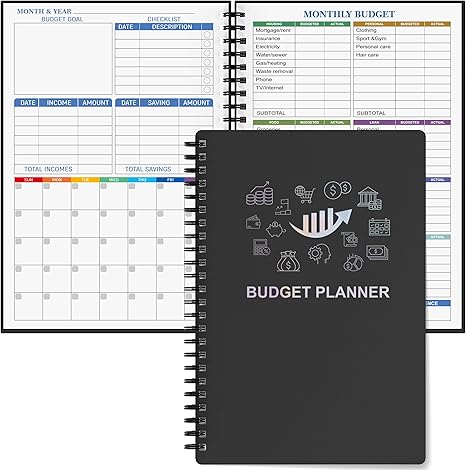 4. Boxclever Press Budget Book
